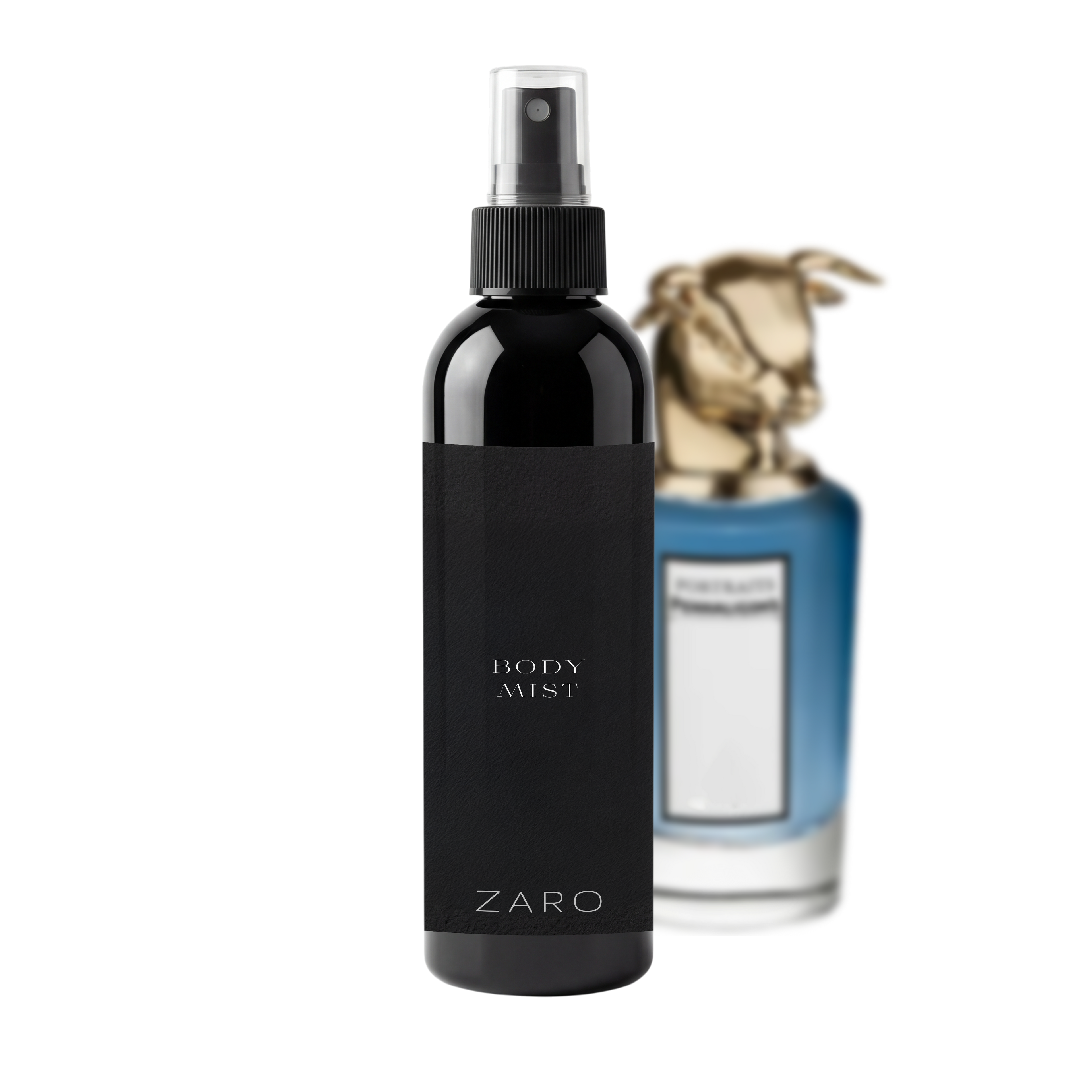 Body Mist 250ml -  Mr. Sam
